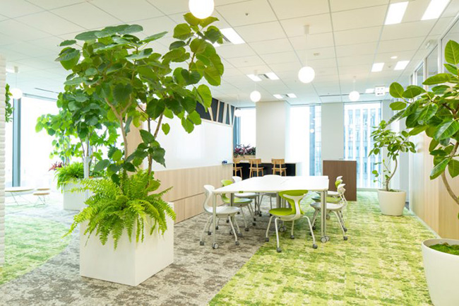 オフィスに植物を取り入れるメリットとは 会社の健康経営にも最適