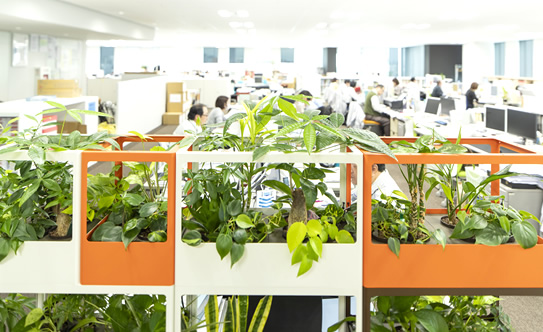 オフィス内の植物イメージ